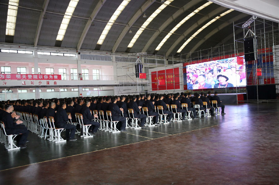 13.jpg