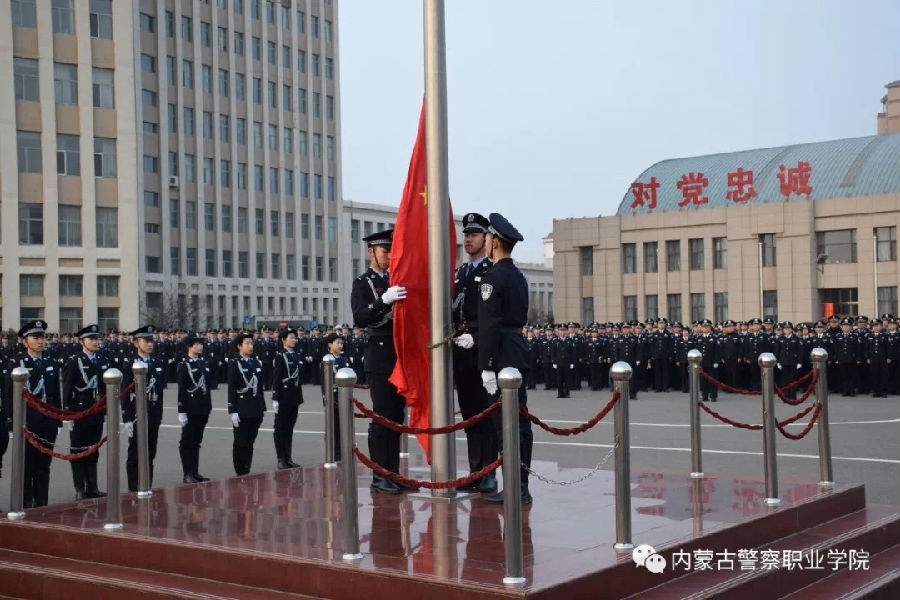 微信图片_201903080851173.jpg